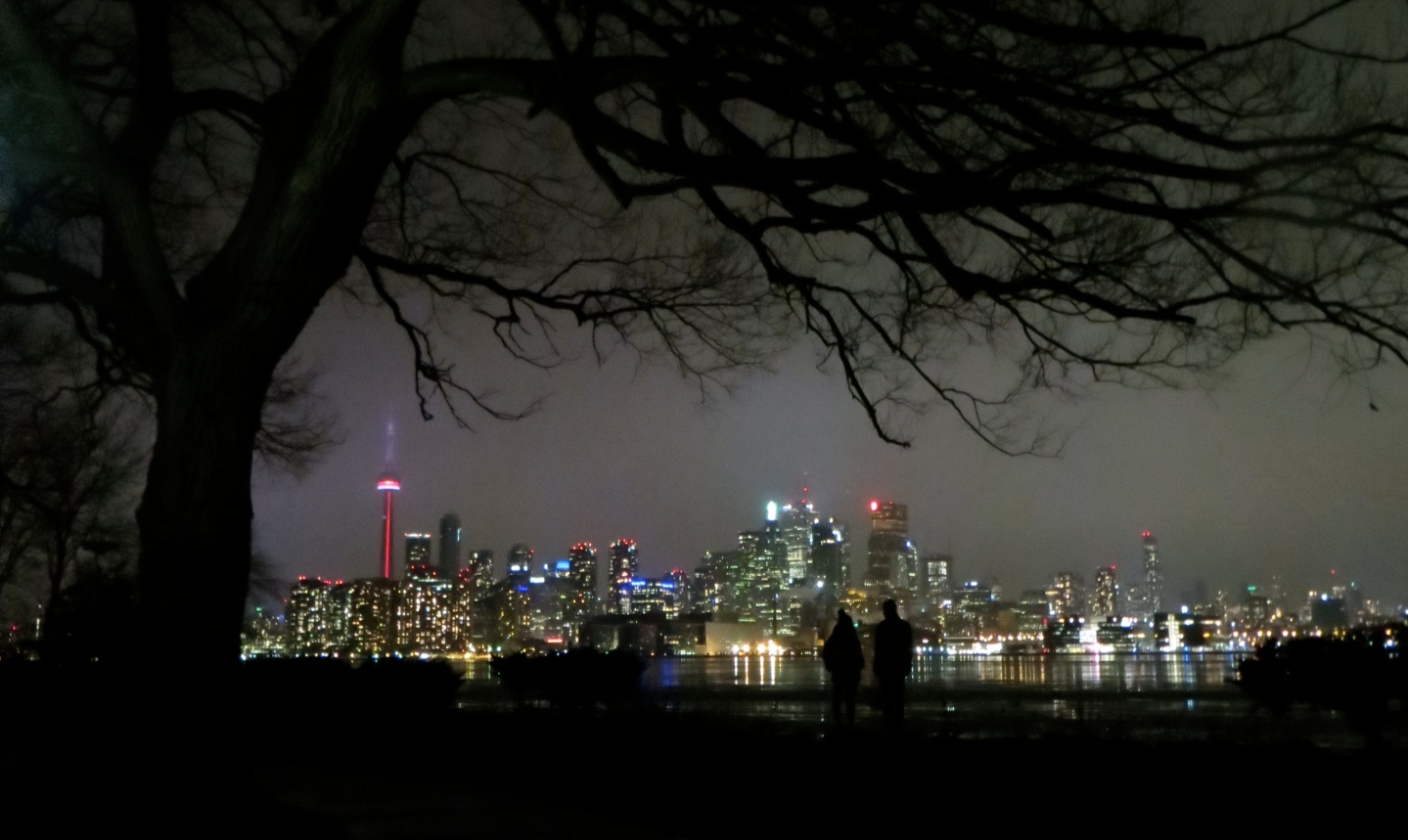 Toronto Skyline at night. Photo By: Allegra Jones