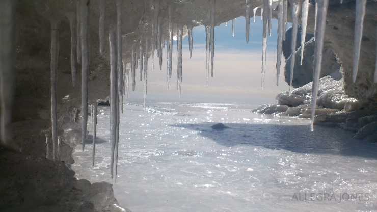Winter wonderland Toronto Island. Photo By: Allegra Jones